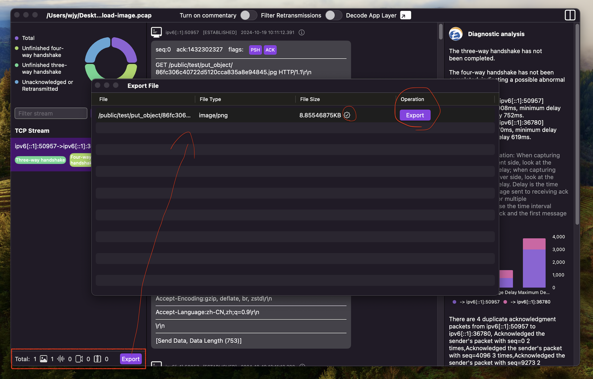 How to export files transferred via HTTP protocol in a pcap file - ChatTCP