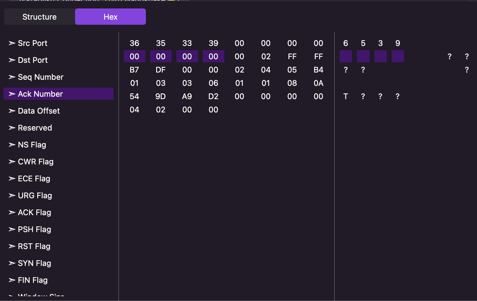 TCP Structure Hex